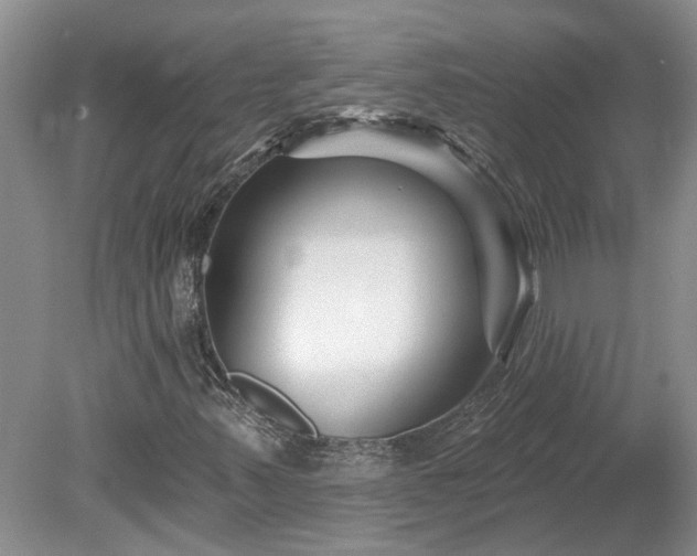 X0000078891347200611201426