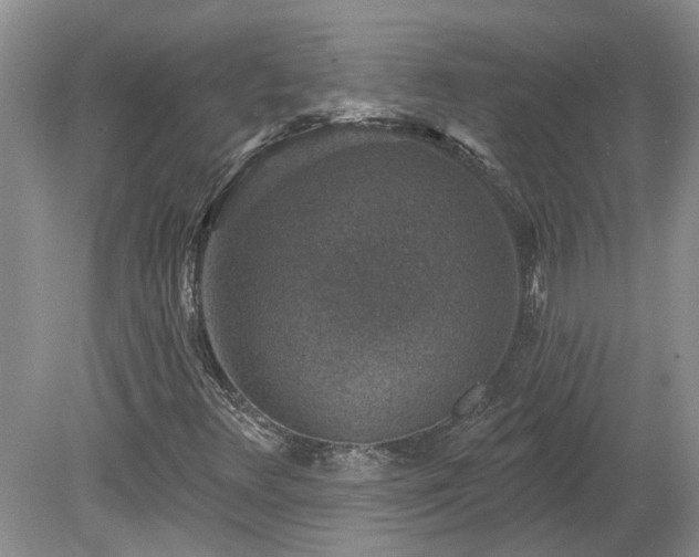 X0000078891348200611201426