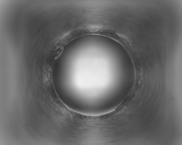 X0000078891349200611201426