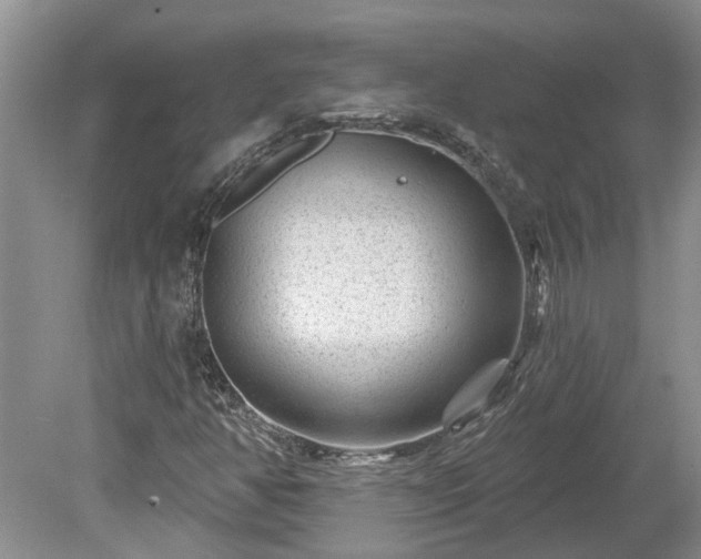 X0000078891350200611201426