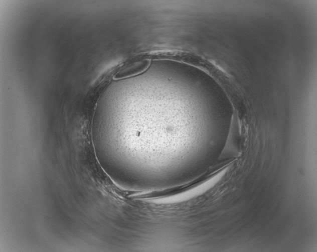 X0000078891351200611201426