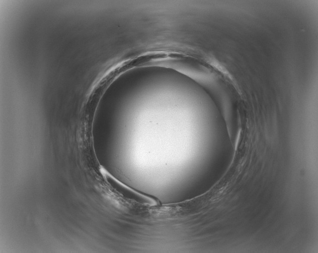 X0000078891352200611201426