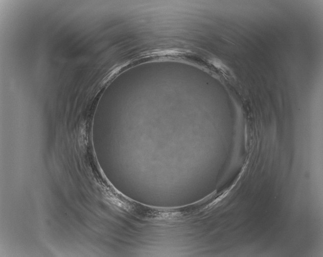 X0000078891353200611201426