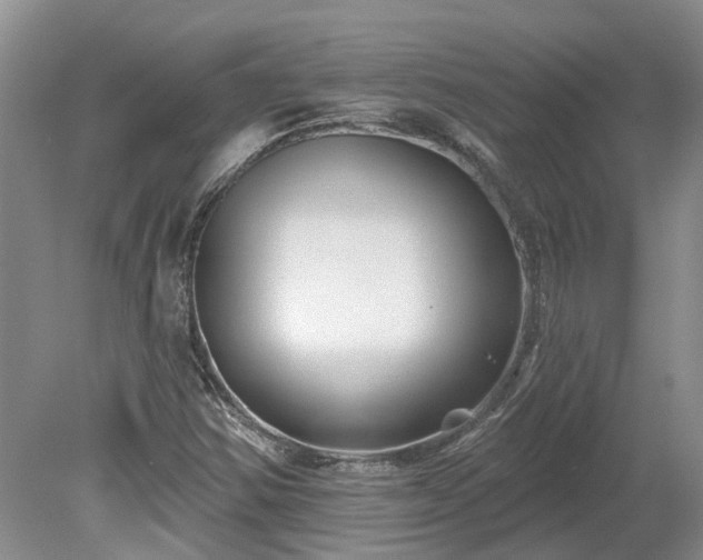 X0000078891354200611201426