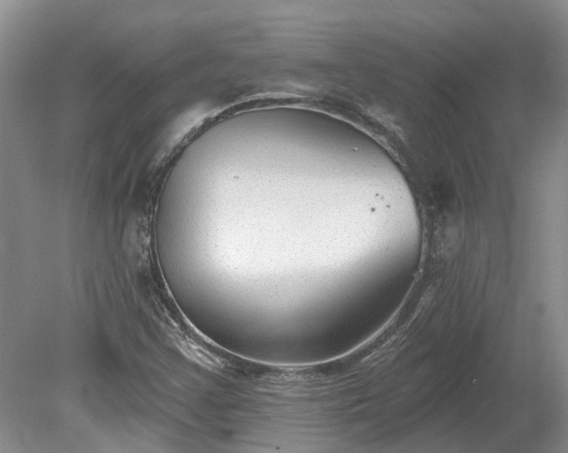 X0000078891355200611201426