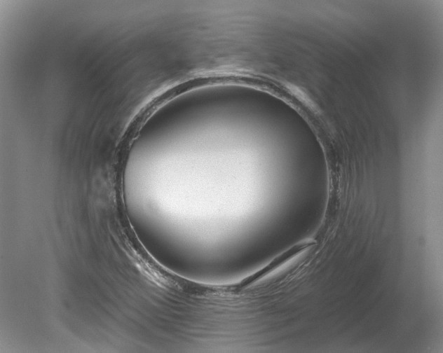 X0000078891356200611201426