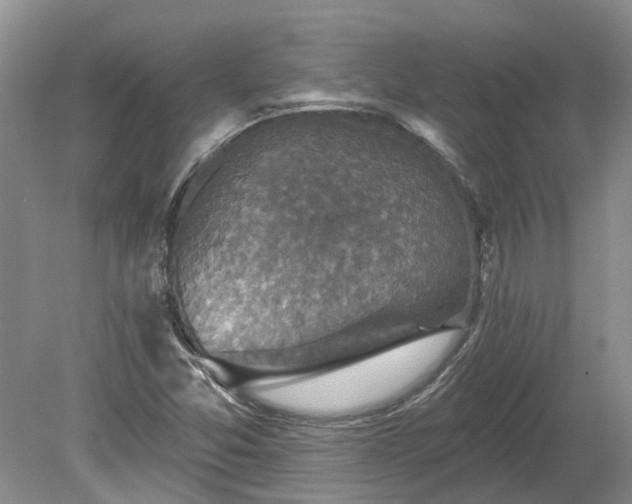 X0000078891357200611201426