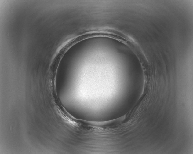 X0000078891360200611201426