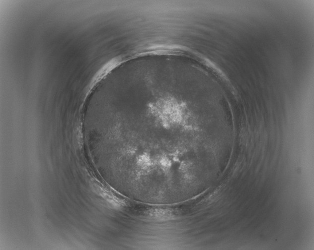 X0000078891362200611201426