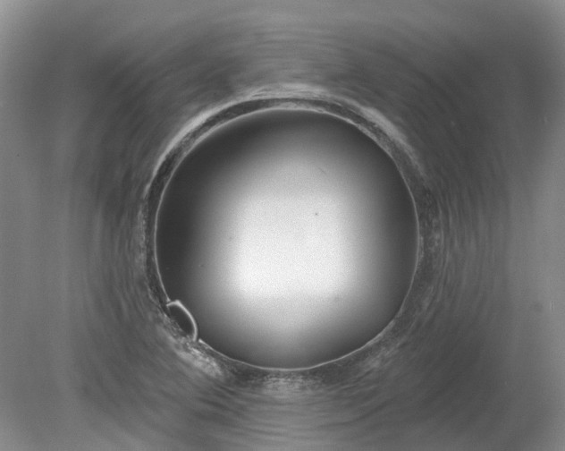 X0000078891364200611201426