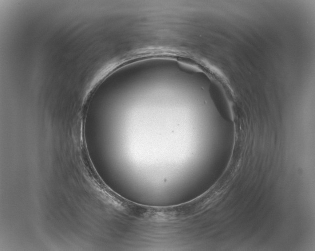 X0000078891365200611201426