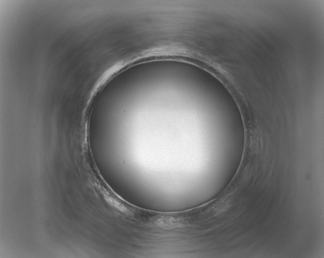 X0000078891366200611201426