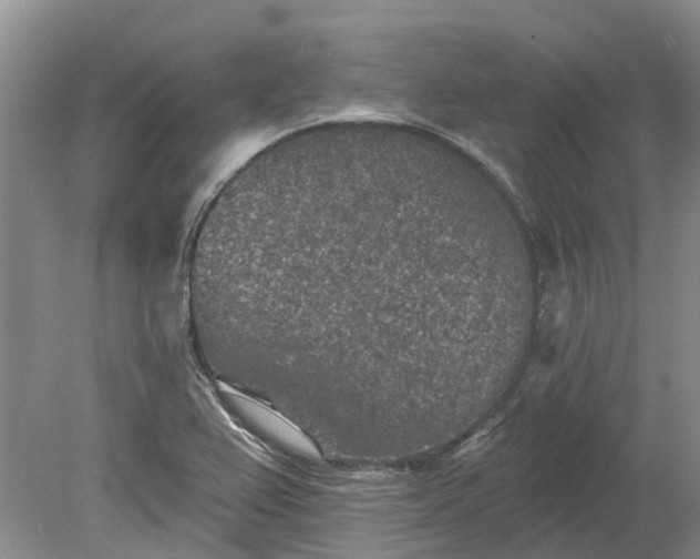 X0000078891367200611201426