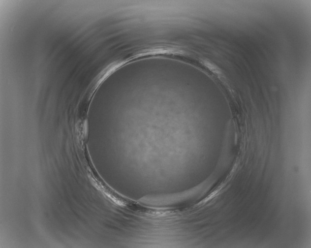 X0000078891369200611201425