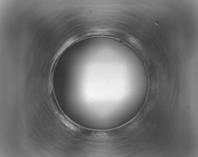 X0000078891370200611201425