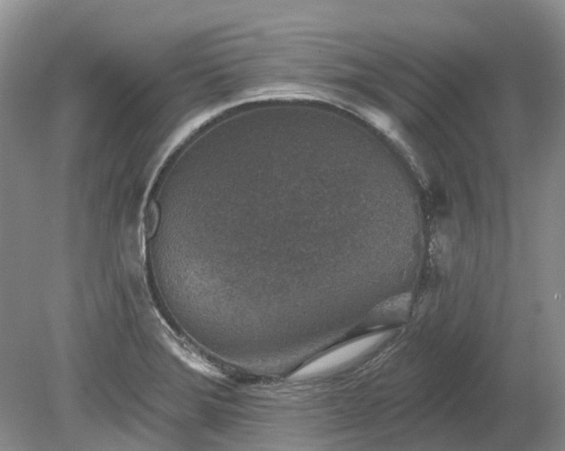 X0000078891372200611201425