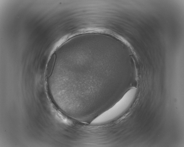 X0000078891373200611201425