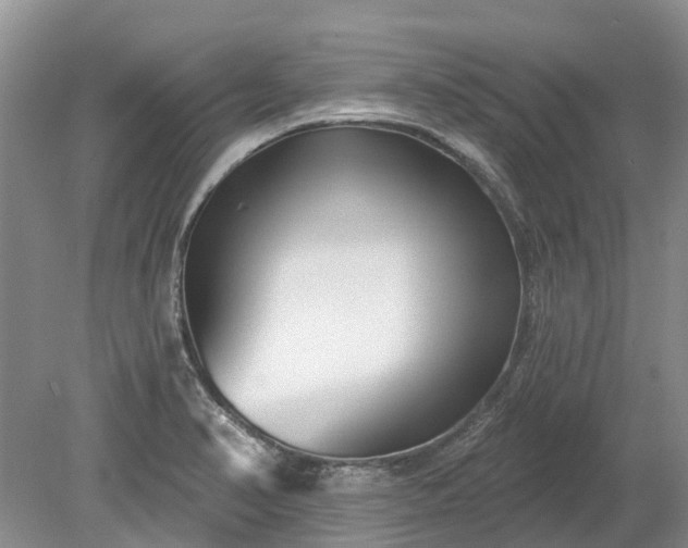 X0000078891374200611201425