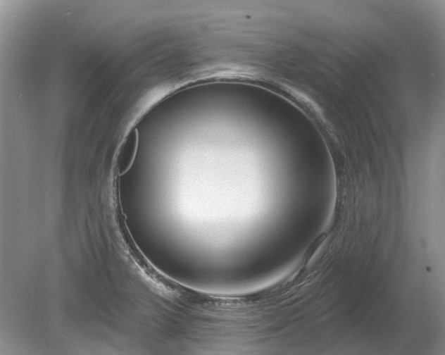 X0000078891375200611201425