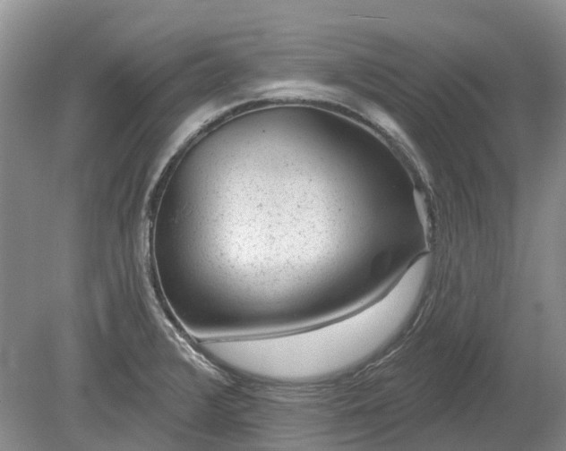 X0000078891376200611201425