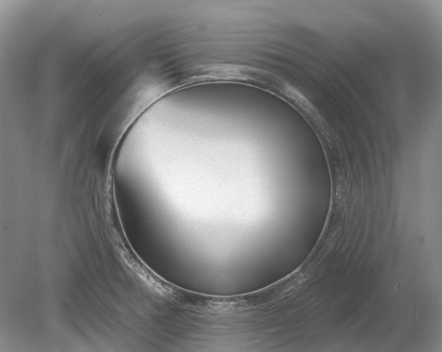 X0000078891378200611201425