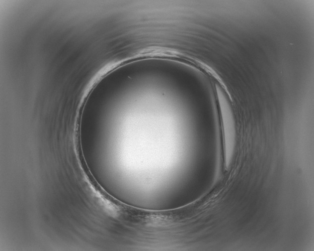 X0000078891379200611201425