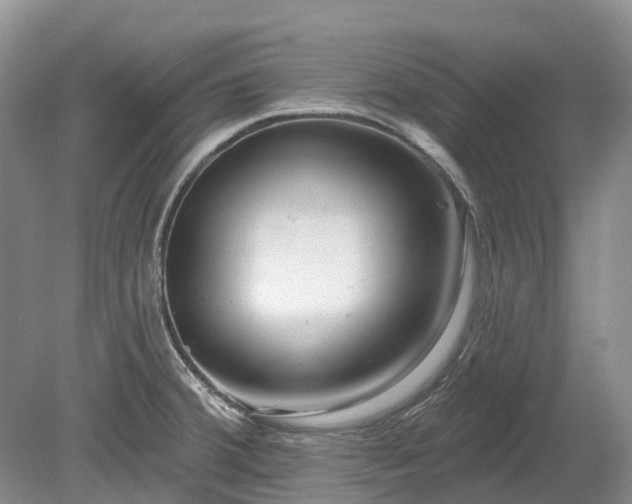 X0000078891380200611201425