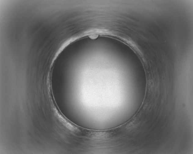 X0000078891382200611201425