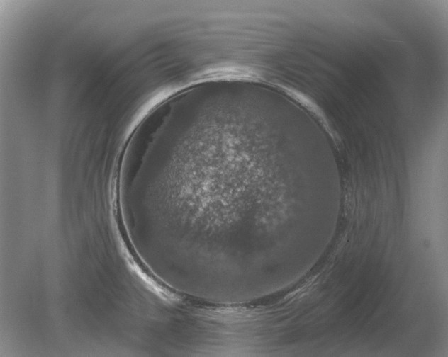 X0000078891383200611201425