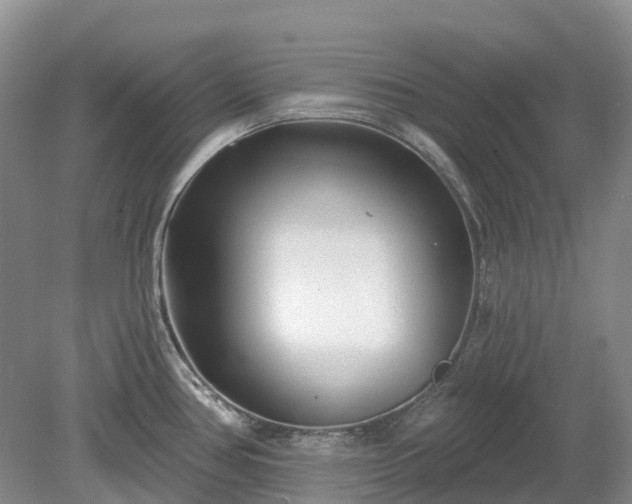 X0000078891386200611201425