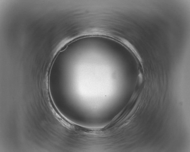 X0000078891388200611201425