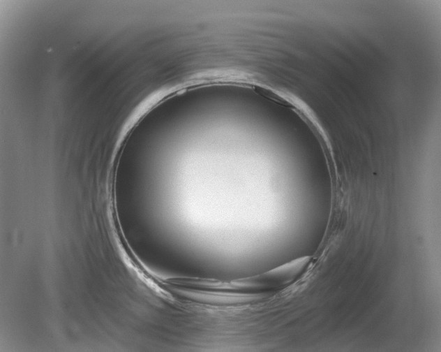 X0000078891389200611201425