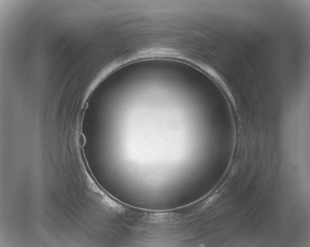 X0000078891390200611201425