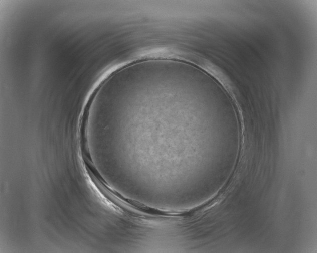 X0000078891392200611201425