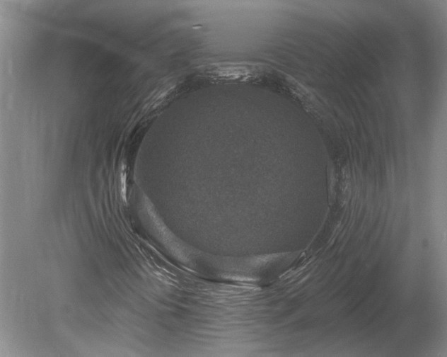 X0000078891394200611201424