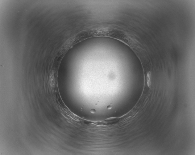 X0000078891395200611201424