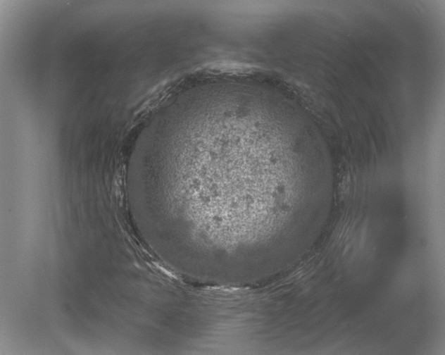 X0000078891397200611201424