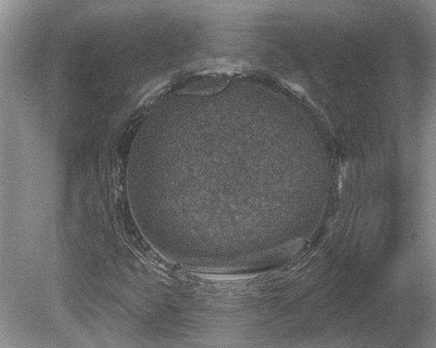 X0000078891399200611201424