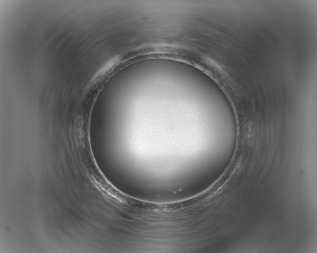 X0000078891403200611201424