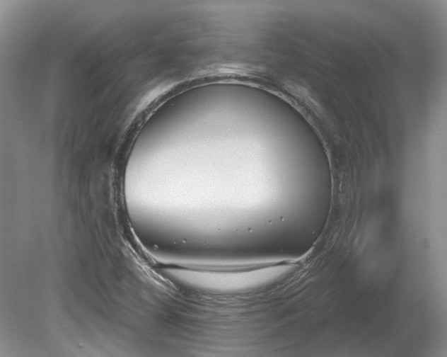 X0000078891404200611201424