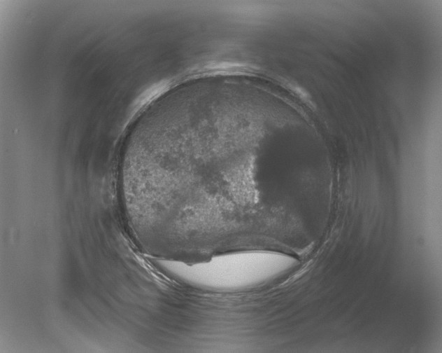 X0000078891405200611201424