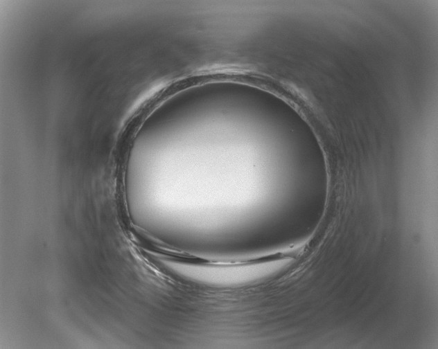 X0000078891406200611201424