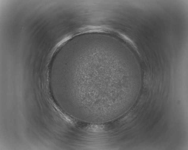 X0000078891411200611201425