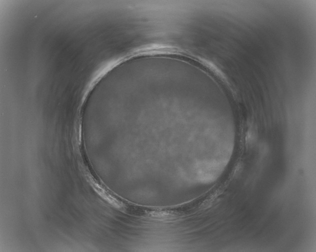 X0000078891413200611201425