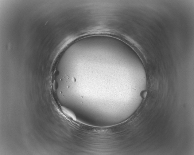 X0000078891415200611201425