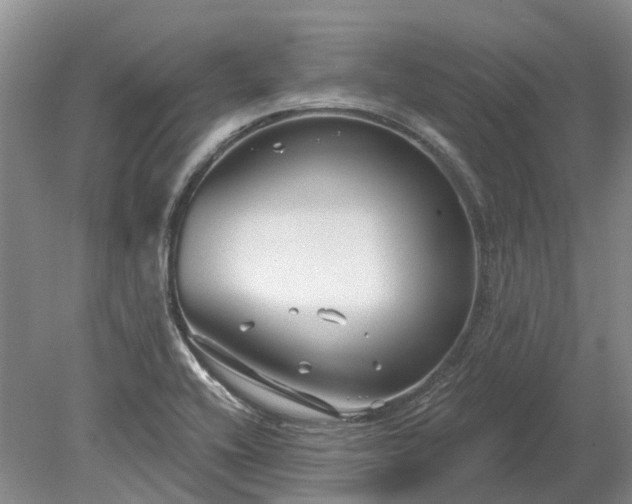 X0000078891416200611201425