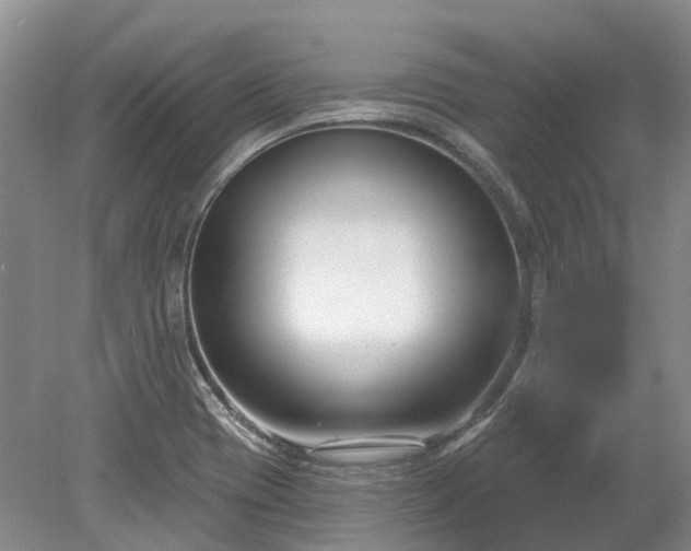 X0000078891417200611201425