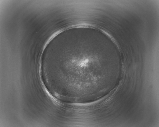 X0000078891418200611201425