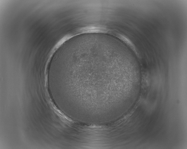 X0000078891419200611201425