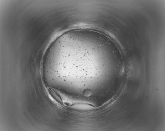 X0000078891421200611201425